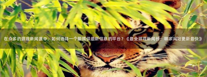 蓝冠娱乐网页版地址：在众多的游戏新闻源中，如何选择一个能提供
